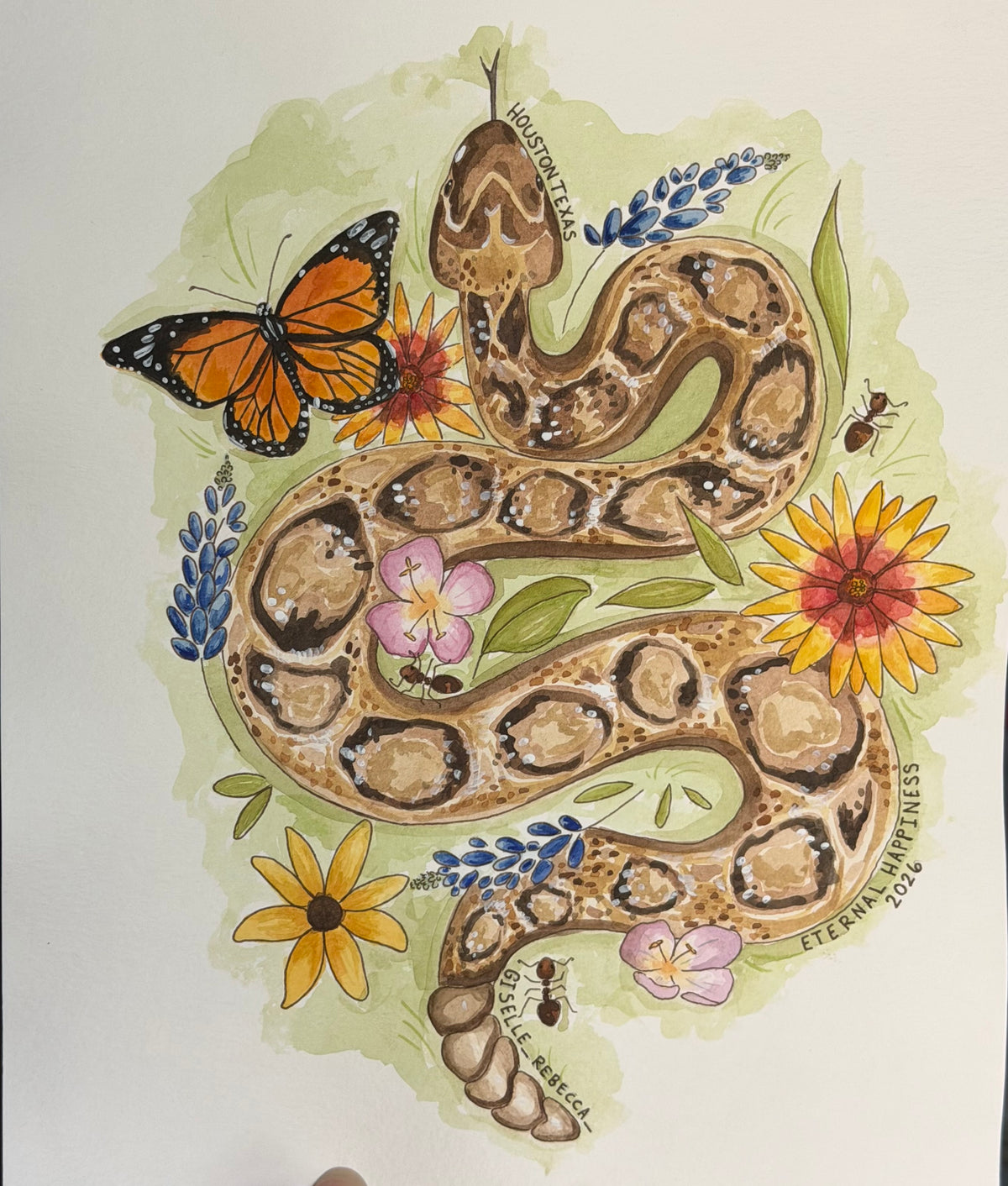 Texas Rattle PRINT